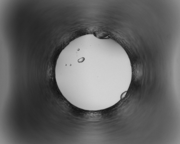 X0000092240619200710121238
