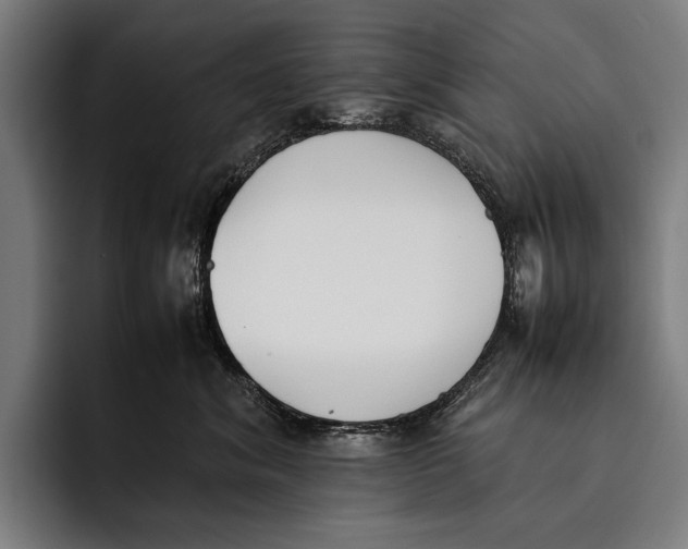 X0000092240620200710121238