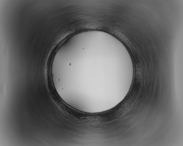 X0000092240626200710121237