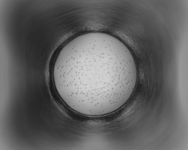 X0000092240630200710121237