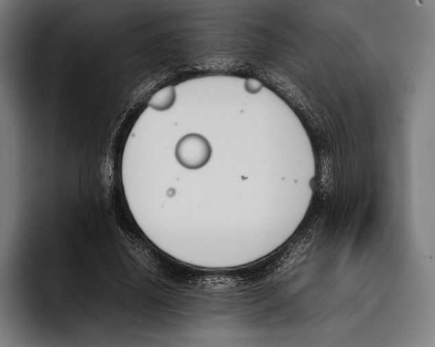 X0000092240636200710121237