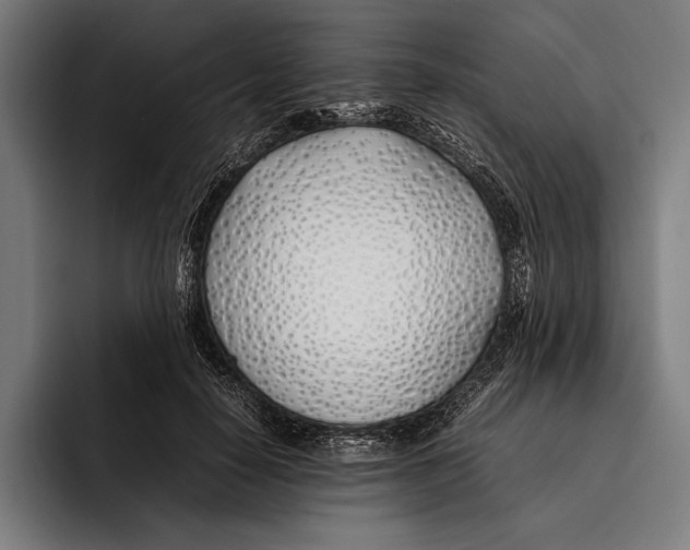 X0000092240650200710121237