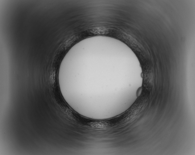 X0000092240652200710121237