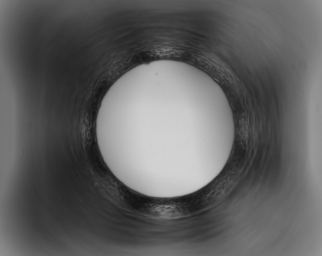 X0000092240653200710121237