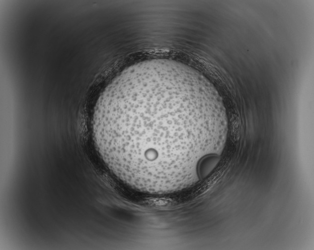 X0000092240654200710121237
