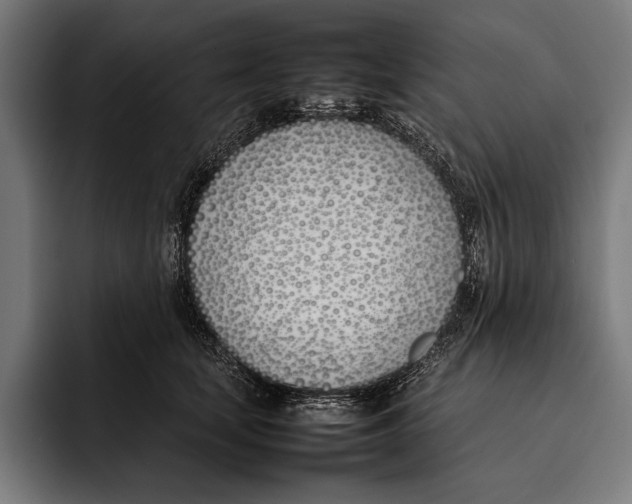 X0000092240659200710121237