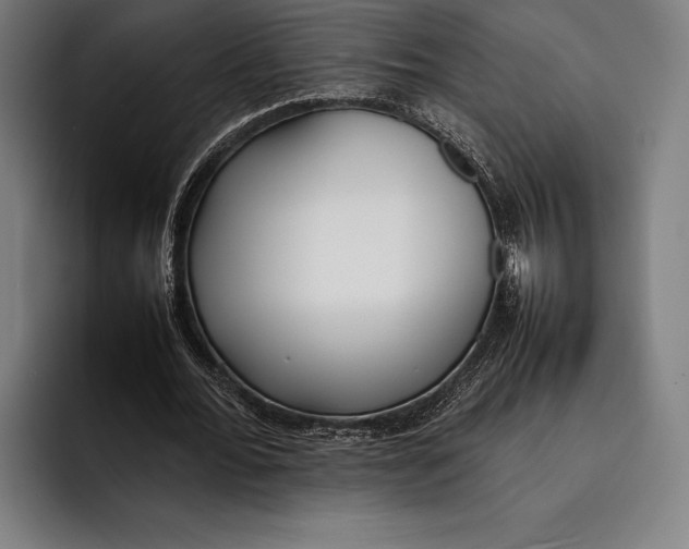 X0000092240676200710121237