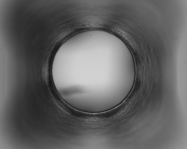 X0000092240677200710121237