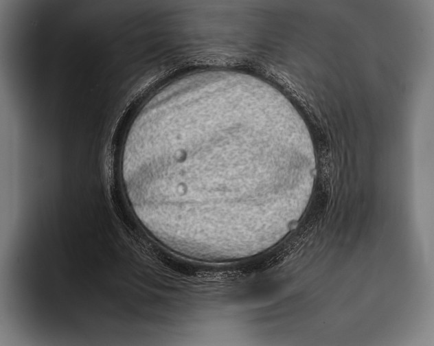 X0000092240679200710121237