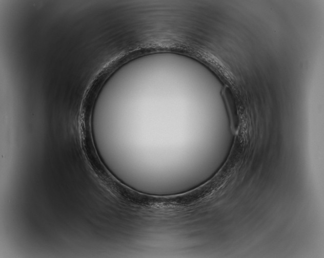 X0000092240680200710121237