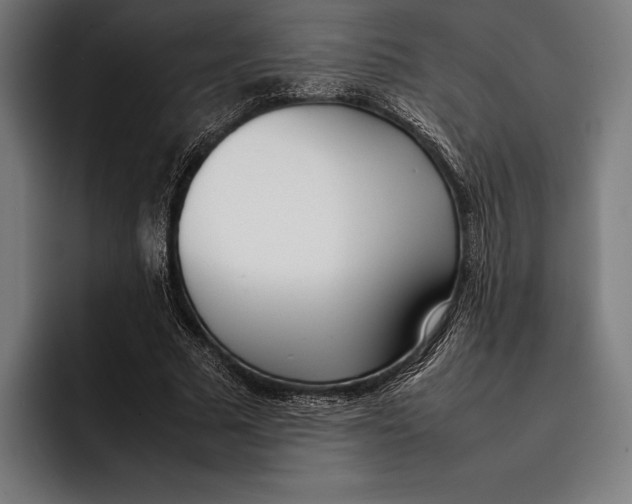 X0000092240681200710121237
