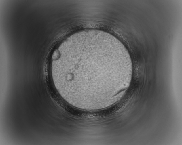 X0000092240683200710121237