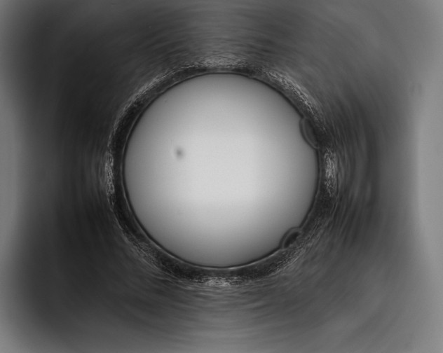 X0000092240684200710121237