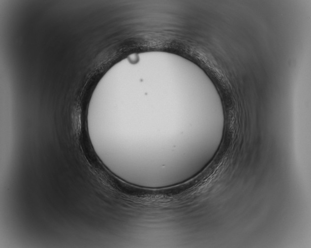 X0000092240685200710121237