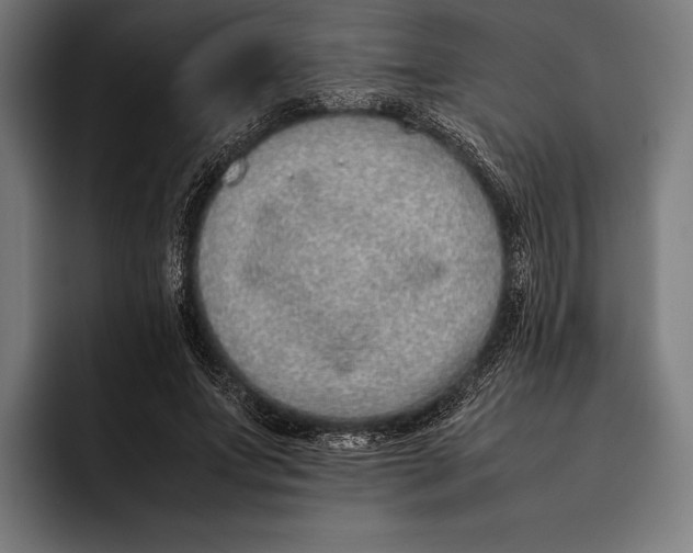 X0000092240687200710121237