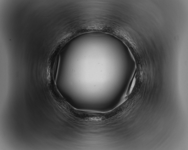 X0000092240692200710121237