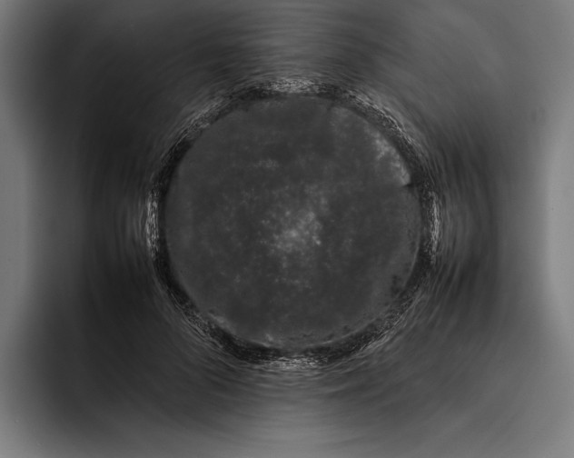 X0000092240696200710121237