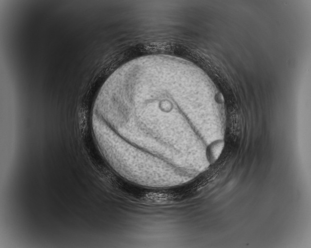 X0000092240699200710121237