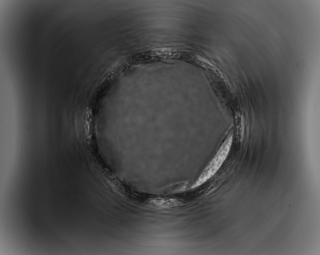 X0000092240712200710121237