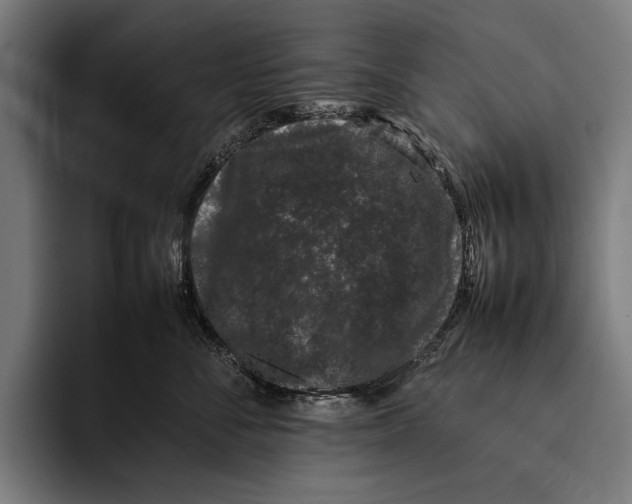 X0000092240716200710121236