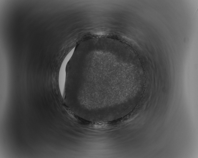 X0000092240720200710121236