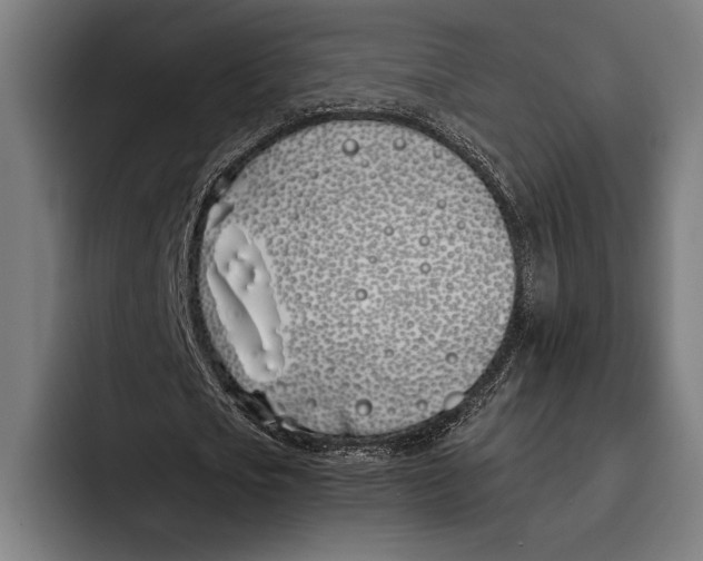 X0000092240721200710121236