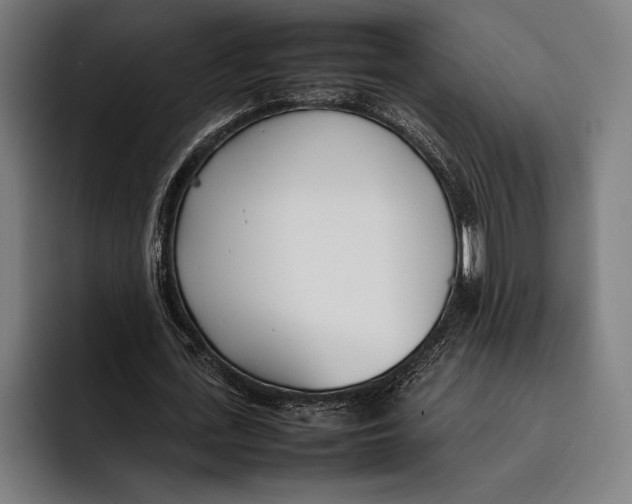 X0000092240723200710121236