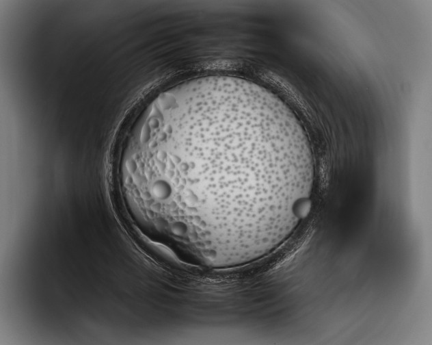 X0000092240725200710121236