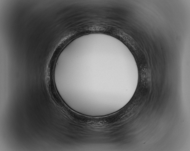 X0000092240727200710121236