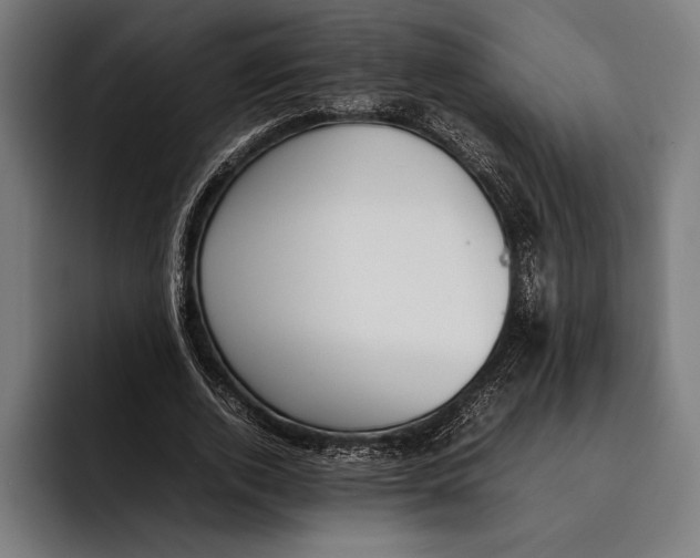X0000092240728200710121236