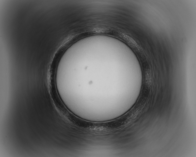 X0000092240730200710121236