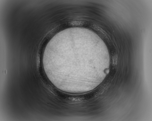 X0000092240733200710121236