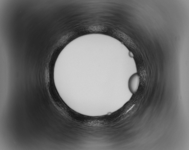 X0000092240734200710121236