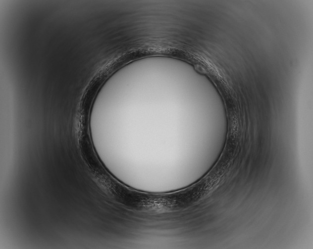 X0000092240736200710121236