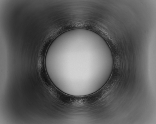 X0000092240740200710121236