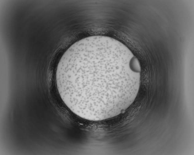 X0000092240742200710121236