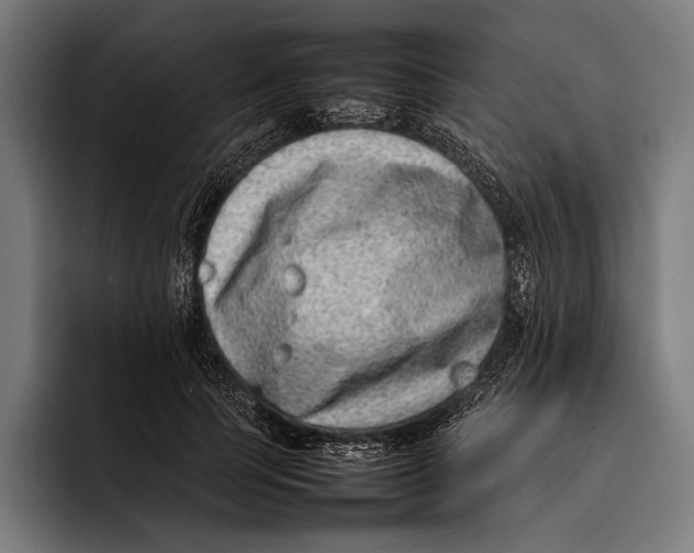 X0000092240745200710121236