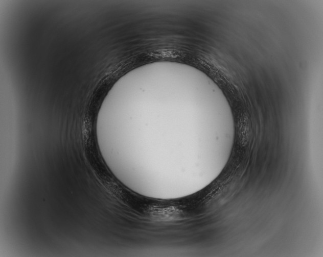 X0000092240747200710121236
