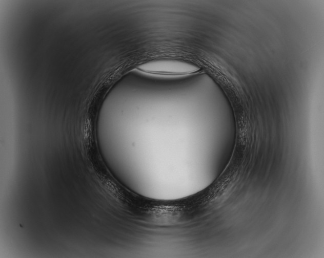 X0000092240748200710121236
