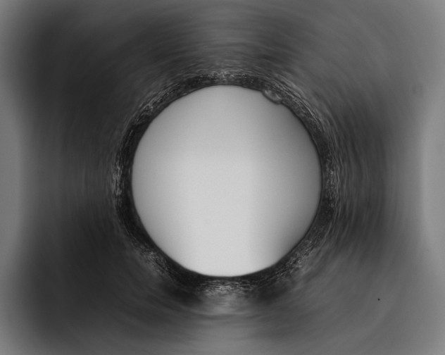 X0000092240750200710121236