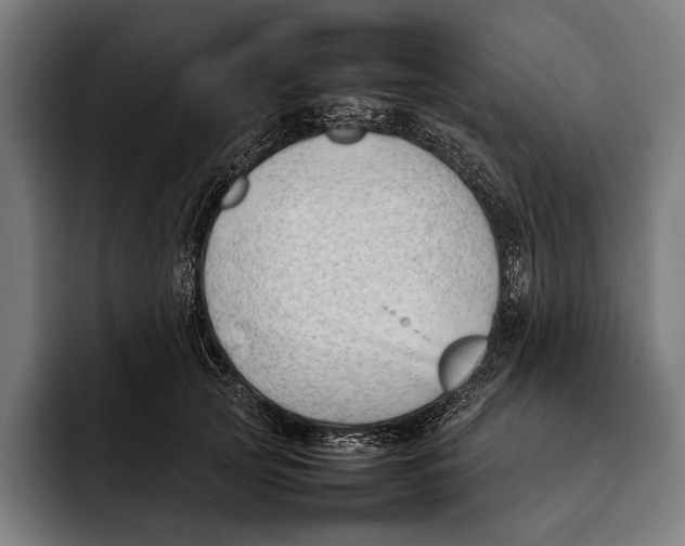 X0000092240753200710121236