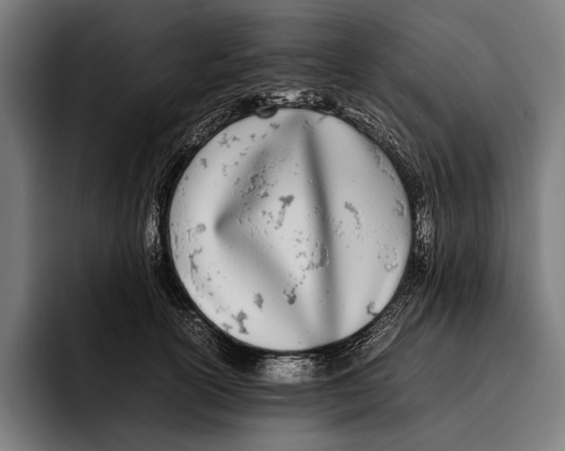 X0000092240754200710121236