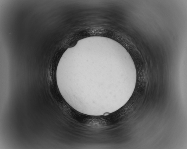 X0000092240755200710121236