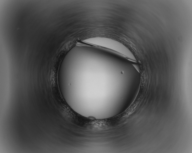 X0000092240762200710121236