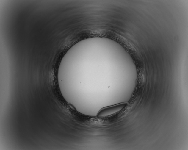X0000092240764200710121236