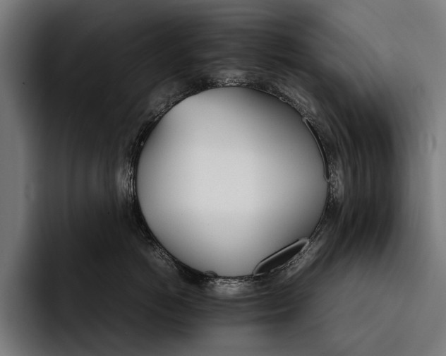 X0000092240766200710121236