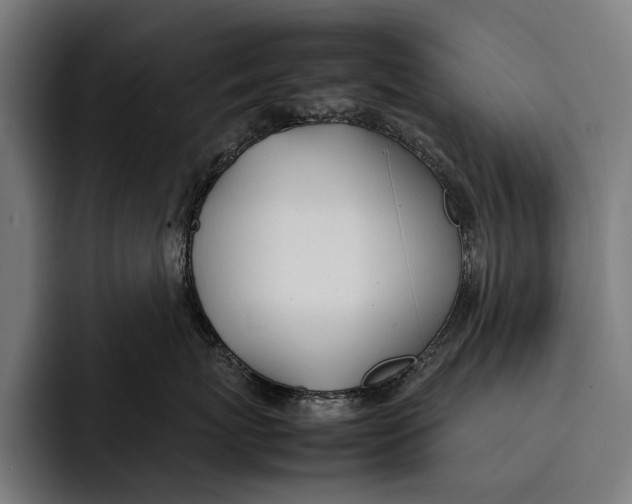 X0000092240767200710121236