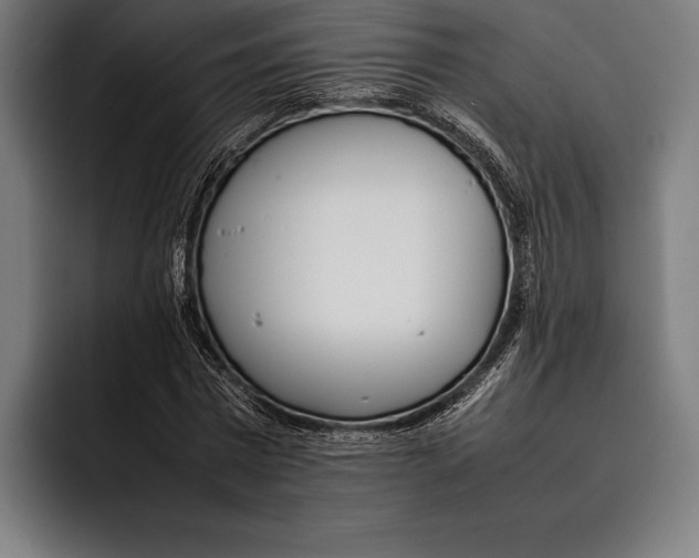 X0000092240777200710121236