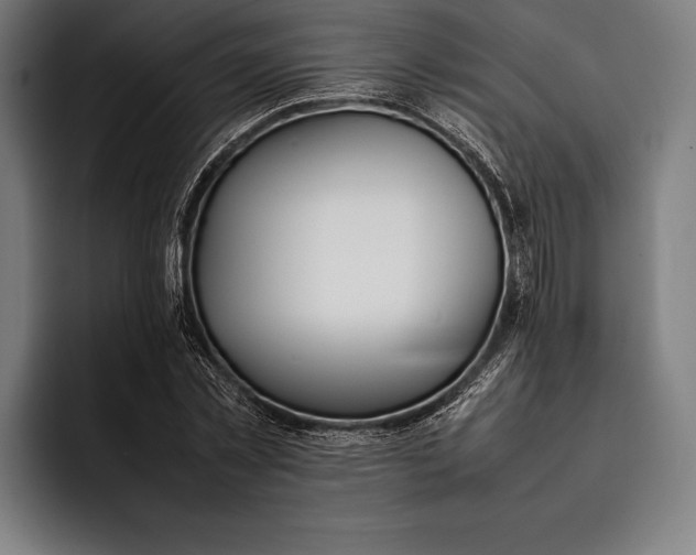 X0000092240781200710121236