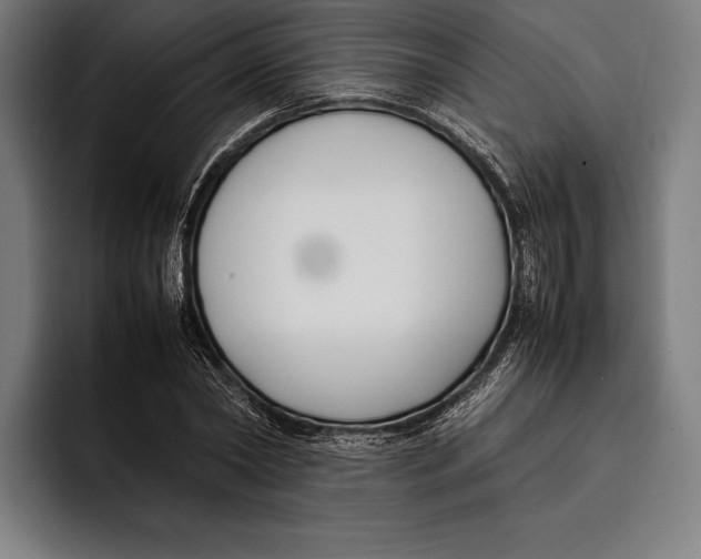 X0000092240782200710121236
